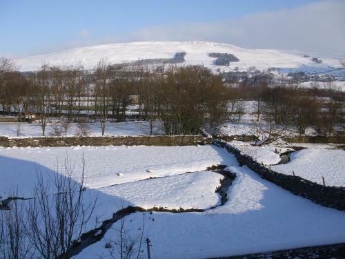Bed & Breakfast Ebor House