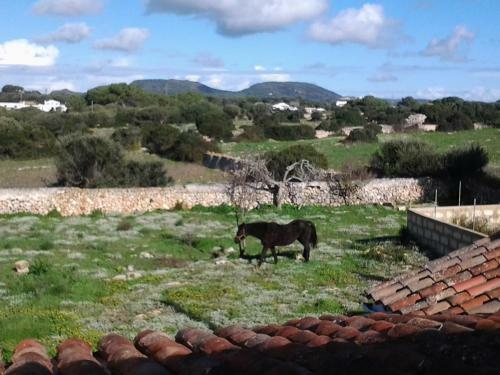 Agroturismo Es Barranco