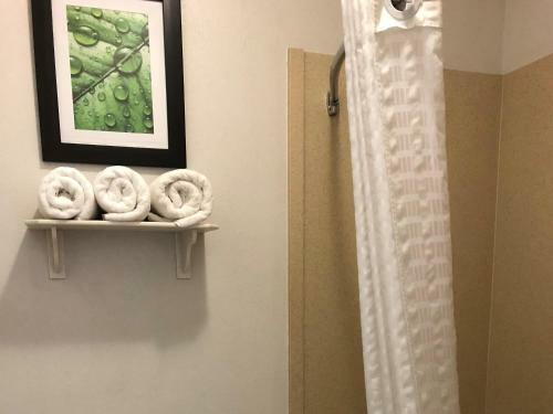 Motel Executive Inn And Suites Joaquin