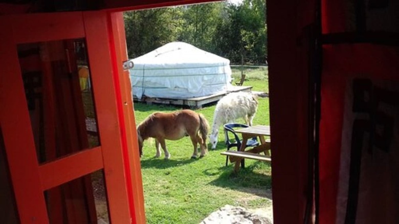 Hotel Yourtes Du Moulin Bertrand