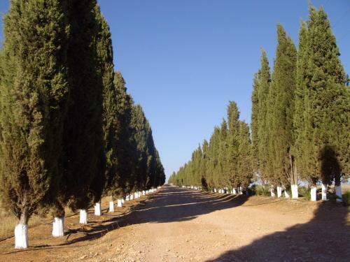 Agroturismo Cortijo Ferradores