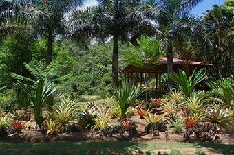 Macaw Lodge
