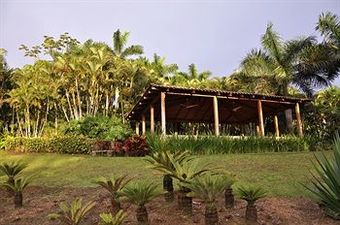 Macaw Lodge