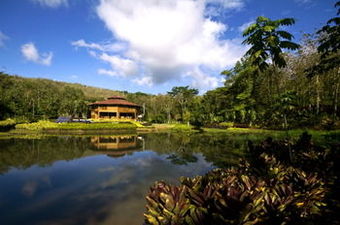 Macaw Lodge