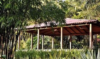 Macaw Lodge
