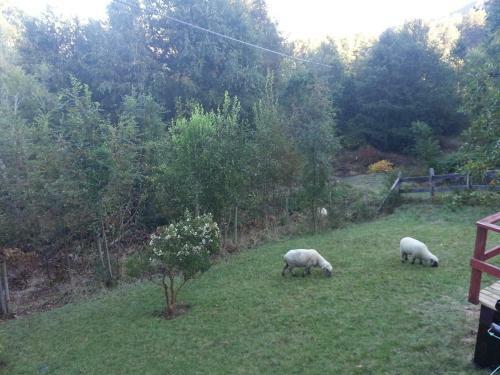 Agroturismo Casas Los Hualles De Co�aripe