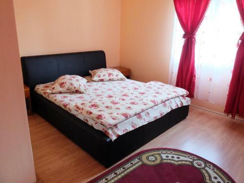 Hostal Pension Ioana Lavita