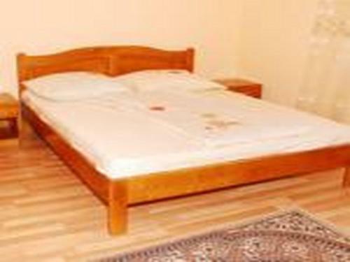 Hostal Pension Ioana Lavita