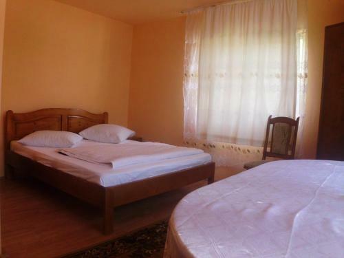 Hostal Pension Ioana Lavita