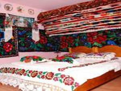 Hostal Pension Ioana Lavita