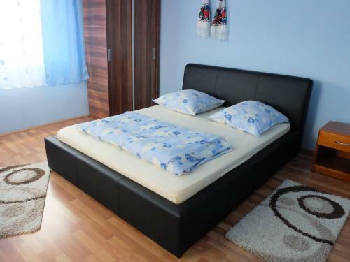 Hostal Pension Ioana Lavita