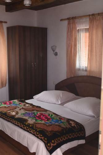 Hostal Pension Ioana Lavita