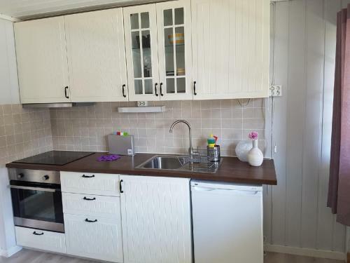Apartamento Fjelltun Camping
