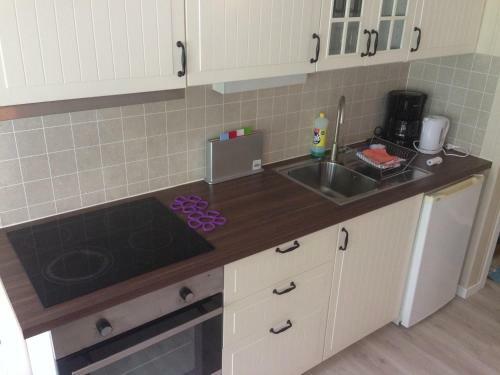 Apartamento Fjelltun Camping