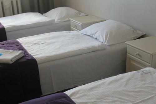 Hotel Pod D?bem
