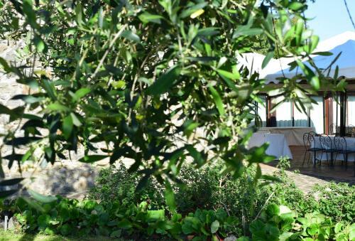 Agroturismo I Casali Della Parata