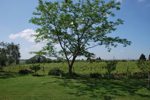 Agroturismo I Casali Della Parata