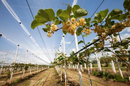 Agroturismo I Casali Della Parata