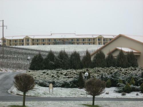 Turners Vineyard Motel