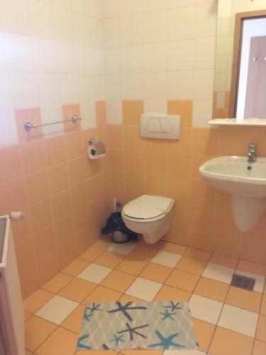 Hostal Casa Tineretului