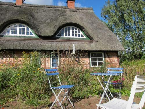 Big Holiday Home In Pronstorf Germany With Private Garden
