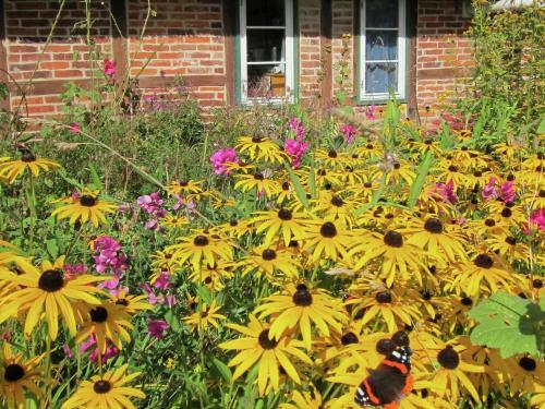 Big Holiday Home In Pronstorf Germany With Private Garden