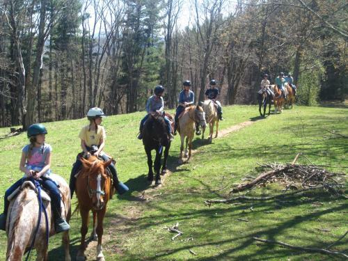 Hostal Arrowmont Stables & Cabins