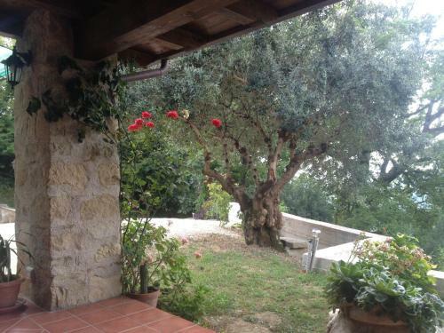 Bed & Breakfast La Casa Di Lidia