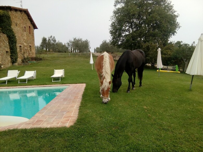 Agroturismo Podere Campovecchio