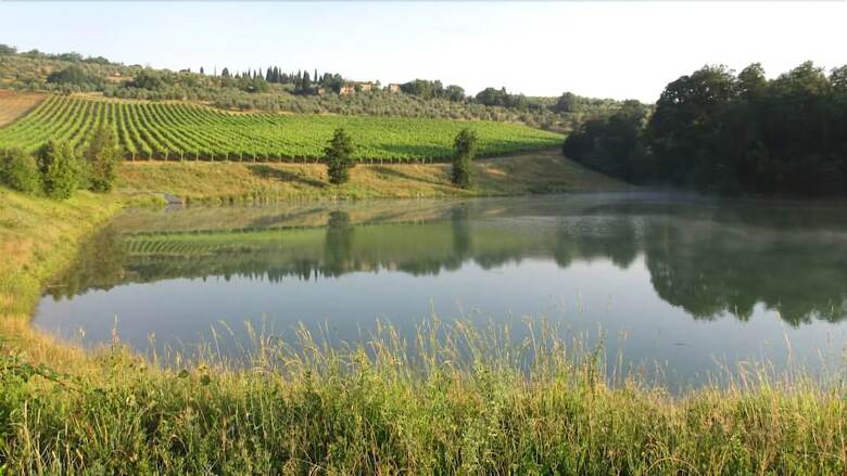 Agroturismo Podere Campovecchio