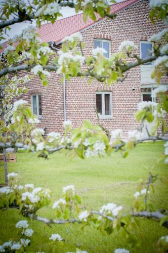 B&B De Fruithoeve