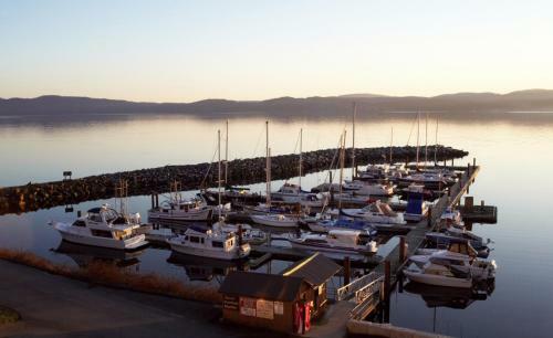 Hotel Beach Gardens Resort And Marina