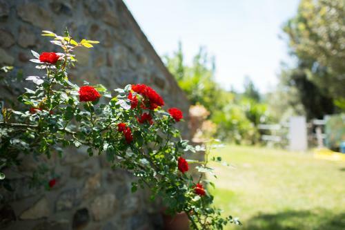 Agroturismo Serraiola Alta