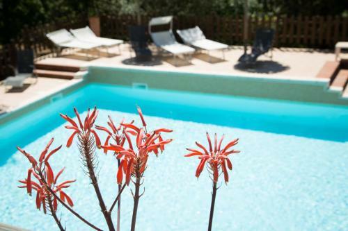 Agroturismo Serraiola Alta
