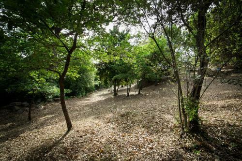 Agroturismo Serraiola Alta