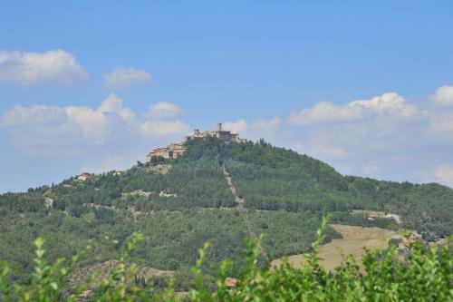 Hostal Agriturismo I Muri