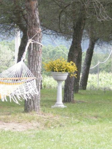 Hostal Agriturismo I Muri
