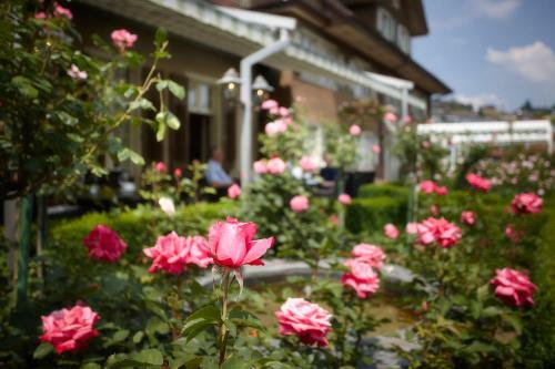 Landgasthof Hotel R�ssli