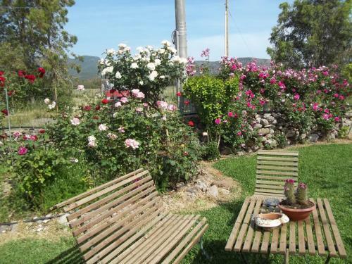 Bed & Breakfast Il Vecchioliveto Di Ornella