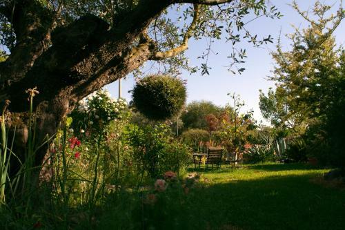 Bed & Breakfast Il Vecchioliveto Di Ornella