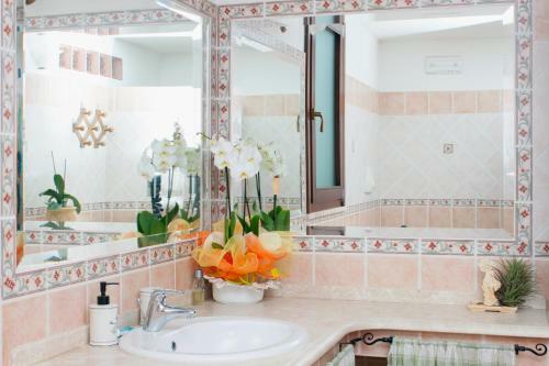 Bed & Breakfast Il Vecchioliveto Di Ornella