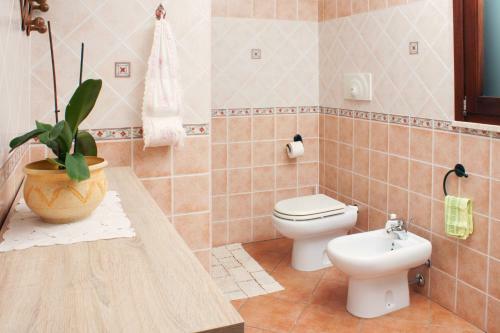 Bed & Breakfast Il Vecchioliveto Di Ornella