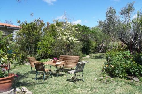 Bed & Breakfast Il Vecchioliveto Di Ornella