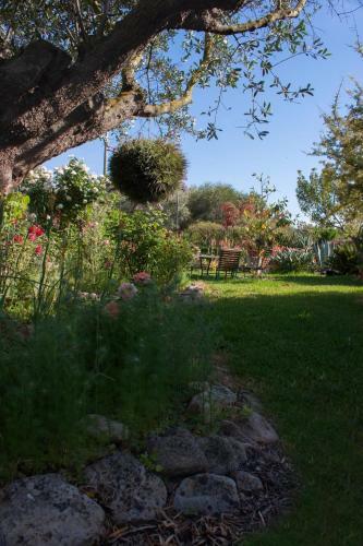 Bed & Breakfast Il Vecchioliveto Di Ornella