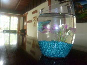 Hotel Arenal Rossi (.)