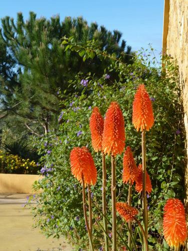 Apartamento Quinta Raposeiros