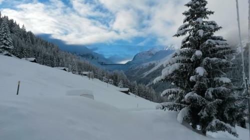 Chalet Edelweiss