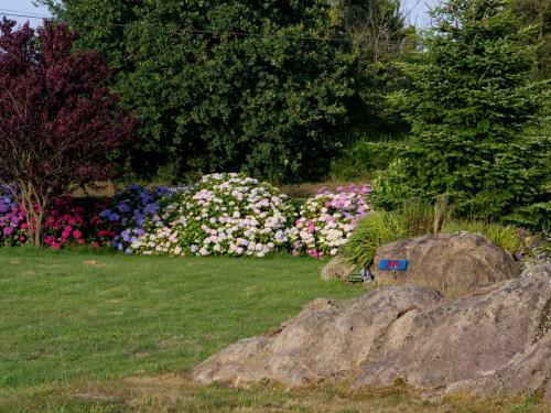 Bed & Breakfast Ch�telet Camelot