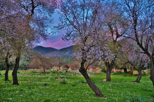 Agroturismo Beymelek Tas Evler