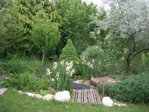 Csalintos Apartman